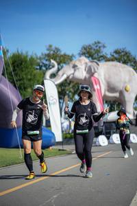 BIB: 
                            <button type="button" onclick="openModal(26543334)" class="btn btn-primary btn-sm float-right btn-popup" data-toggle="modal" data-target=".modal-high-quality">
                        <i class="fas fa-shopping-cart"></i> Add to Cart
                    </button>
                                            <button type="button" onclick="isThisMe(26543334, true)" class="btn btn-success btn-sm float-right btn-popup btn-isme hidden" data-toggle="tooltip" data-placement="bottom" title="นี่คือรูปของคุณใช่ไหม คลิกที่นี่เพื่อเอาเข้าอัลบั้ม">
                        <i class="fas fa-plus"></i> Add to album
                    </button>
                    <button type="button" onclick="isThisMe(26543334, false)" class="btn btn-warning btn-sm float-right btn-popup btn-isnotme hidden">
                        <i class="fas fa-ban"></i> Remove from album
                    </button>